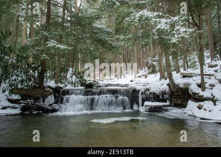 Tolliver Falls, Swallow Falls State Park, Maryland Banque D'Images