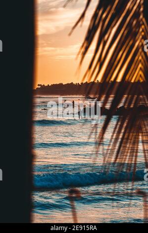 Les gens surfent au coucher du soleil à Punta Mita, Nayarit, Mexique Banque D'Images