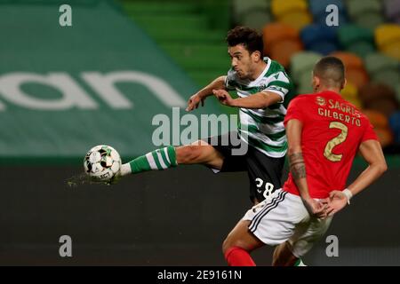 Lisbonne, Portugal. 1er février 2021. Lors du match de football de la Ligue portugaise entre Sporting CP et SL Benfica au stade José Alvalade de Lisbonne, Portugal, le 1er février 2021. Crédit : Pedro Fiuza/ZUMA Wire/Alay Live News Banque D'Images