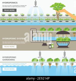 Bannières horizontales plates de couleur sur le découpage hydroponique du système avec du texte illustration du vecteur de champ Illustration de Vecteur