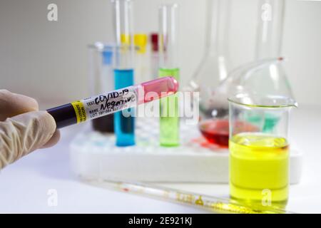 Foyer sélectif d'une main dans des gants tenant un sang Tube à essai avec résultat 'Covid-19 négatif' Banque D'Images