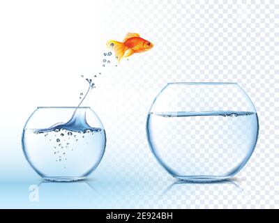 Poissons rouges sautant d'un bol à poissons à un autre aquarium avec clair l'eau contre l'illustration vectorielle de l'affiche d'arrière-plan à carreaux clairs Illustration de Vecteur