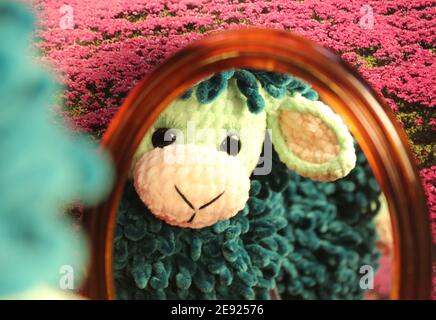 brebis jouet devant le miroir Banque D'Images