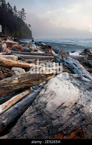 Driftwood logs, Ruby Beach, Parc national olympique, comté de Jefferson, Washington, États-Unis Banque D'Images
