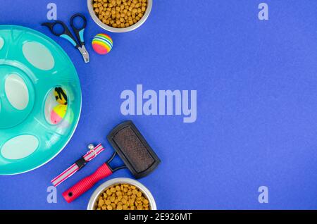 Arrière-plan des bols avec nourriture, jouets et articles de soin pour animaux, vue du dessus. Photo Banque D'Images