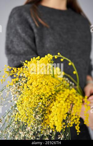 De belles branches de mimosa et de genista dans les mains des femmes.  Fleurs jaunes ensoleillées sur une table blanche près de la fenêtre.  Livraison fleur coupée fraîche. Européen Photo Stock -