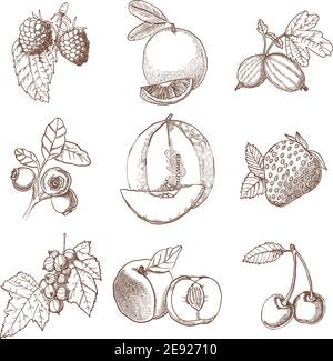 Icônes décoratives ensemble de baies et de fruits dessinés à la main illustration vectorielle isolée de style rétro Illustration de Vecteur