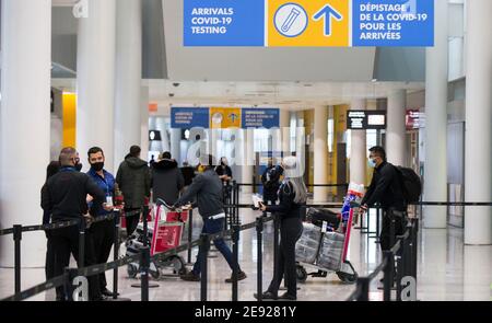 Toronto, Canada. 1er février 2021. Les voyageurs portant un masque facial marchent avec leurs chariots à bagages jusqu'à un site d'essai de la COVID-19 après leur arrivée au hall des arrivées de l'aéroport international de Toronto à Mississauga, Ontario, Canada, le 1er février 2021. L'Ontario du Canada a exigé que tous les passagers arrivant à l'étranger prennent un test COVID-19 à leur arrivée à partir de lundi pour arrêter la propagation des variantes COVID-19. Credit: Zou Zheng/Xinhua/Alamy Live News Banque D'Images