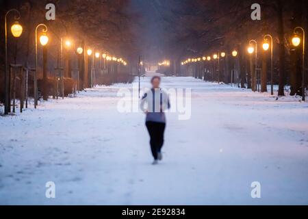 Berlin, Allemagne. 02 février 2021. Un jogging traverse le Tiergarten dans la neige le matin. Credit: Christoph Soeder/dpa/Alay Live News Banque D'Images