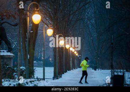 Berlin, Allemagne. 02 février 2021. Un jogging traverse le Tiergarten dans la neige le matin. Credit: Christoph Soeder/dpa/Alay Live News Banque D'Images