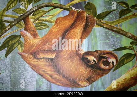 Peinture montrant une mère et un bébé Sloth à trois doigts Banque D'Images