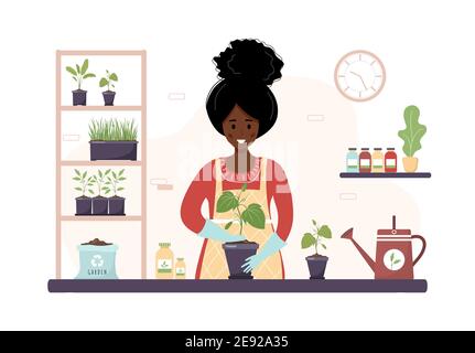 Plantation à la maison. Caricature africaine femme replantant le semis dans l'orangerie. Jardinage passe-temps. Illustration vectorielle de style plat. Pépinière de plantes domestiques Illustration de Vecteur
