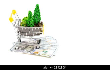 Chariot de magasinage de jouets avec sol fertilisé et arbres en plastique de jouets debout sur des billets de dollars isolés sur blanc. Enrichissement et déforestati d'exploitation forestière illégaux Banque D'Images