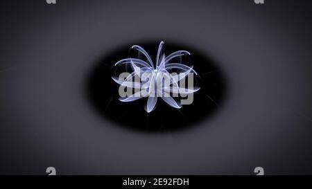 Fleur fractale bleue sur fond noir Banque D'Images