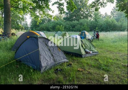 Région de Kaliningrad, Russie, 12 juin 2020, camp touristique dans le marais, tentes de camping dans les zones humides Banque D'Images