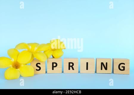 Fleurs jaune vif dans des blocs de bois avec ressort mot. Bienvenue au concept de la saison de printemps. Banque D'Images