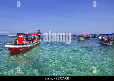 Plongée en apnée dans la réserve naturelle de Rosario, mer des Caraïbes, Colombie Banque D'Images