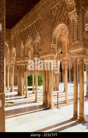 La Cour des Lions, Alhambra, Grenade, Espagne, sud de l'Europe Banque D'Images