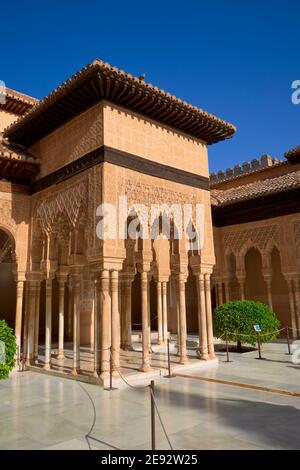 La cour des lions, Alhambra, Grenade, Espagne, sud de l'Europe Banque D'Images