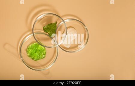 Produits cosmétiques pour le soin de la peau dans des plats de pétri sur fond beige. Gel d'aloès, crème hydratante cosmétiques naturels pour la cosmétologie en verrerie de laboratoire Banque D'Images