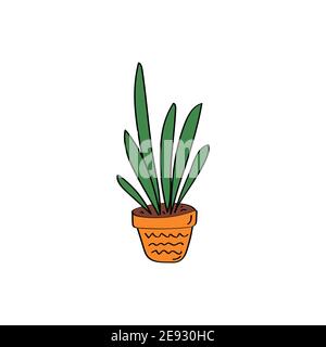 Panneau Sansevieria. Usine de maison. Fleurs en pot. Illustration de l'effet d'un vecteur dessiné à la main Illustration de Vecteur