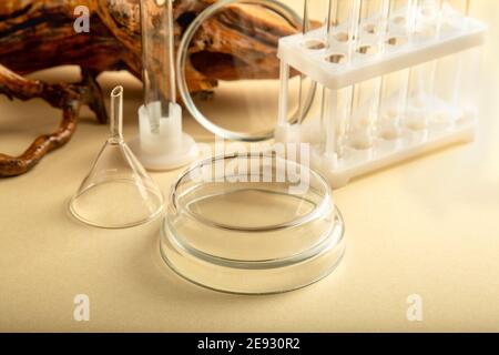 Podium de verrerie de laboratoire vide en boîtes de Petri, équipement de laboratoire. Maquette de produits cosmétiques ou de médicaments naturels médicaments pharmaceutiques. Tubes à essai sur brun Banque D'Images