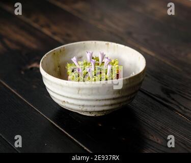 Tartare de viande rouge décorée et plaquée de fleurs et jardin vert Banque D'Images