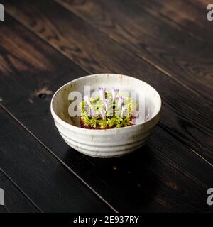 Tartare de viande rouge décorée et plaquée de fleurs et jardin vert Banque D'Images