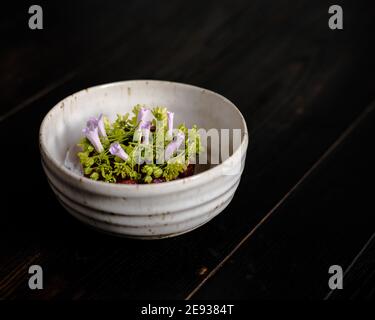 Tartare de viande rouge décorée et plaquée de fleurs et jardin vert Banque D'Images