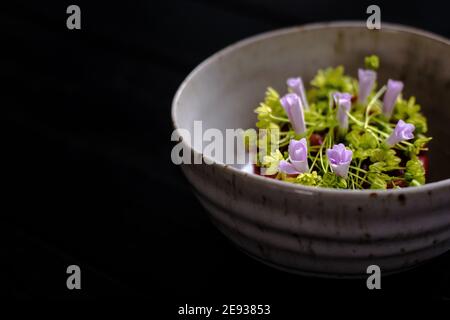 Tartare de viande rouge décorée et plaquée de fleurs et jardin vert Banque D'Images