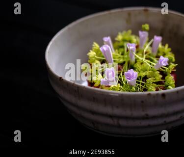 Tartare de viande rouge décorée et plaquée de fleurs et jardin vert Banque D'Images