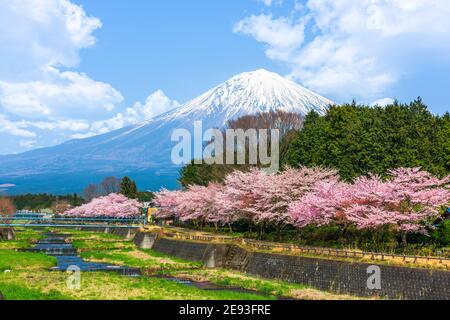 Mt. Fuji vu depuis les régions rurales Préfecture Shizuoka dans la saison du printemps. Banque D'Images