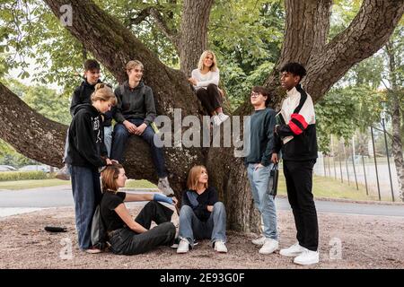 Groupe d'amis adolescents se détendant sous l'arbre Banque D'Images