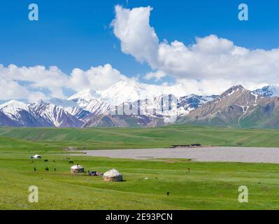 Yourte traditionnel dans la vallée d'Alaj avec les montagnes de Transalai en arrière-plan. Les montagnes du Pamir, Asie, Asie centrale, Kirghizistan Banque D'Images