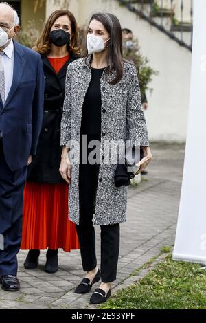 La reine Letizia d'Espagne assiste à la réunion de travail de la Fondation pour l'aide contre la toxicomanie au siège de la FAD à Madrid, Espagne, le 2 février 2021. Photo par Archie Andrews/ABACAPRESS.COM Banque D'Images