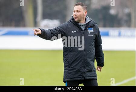 Berlin, Allemagne. 02 février 2021. L'entraîneur Pal Dardai pointe vers le terrain pendant la séance d'entraînement de Hertha BSC Berlin. Credit: Andreas Gora/dpa/Alay Live News Banque D'Images