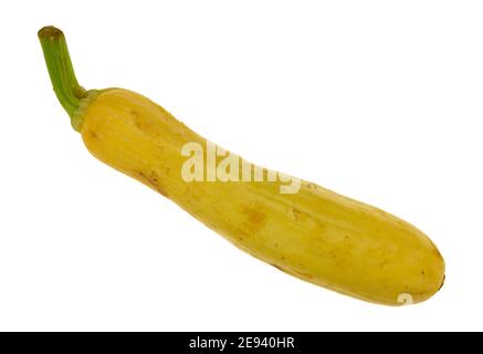 Vue de dessus d'un seul jardin à la maison de courge jaune d'été isolé sur un fond blanc. Banque D'Images