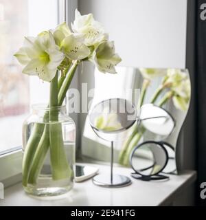 Bouquet de lys blancs dans un grand vase en verre sur une table beige contre un mur gris. Fenêtre et réflexions dans l'espace copie miroir. Bouton frais Banque D'Images