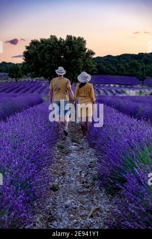 Champs de lavande en Ardèche, dans le sud-est de la France. Europe, couple marchant dans des champs de lavande, hommes et femme de milieu d'âge en vacances Ardeche France Banque D'Images