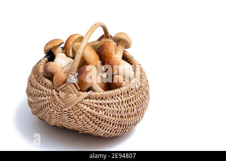 Panier en osier complet de Boletus edulis isolé sur fond blanc. Panier de champignons comestibles avec espace pour le texte. Personne Banque D'Images