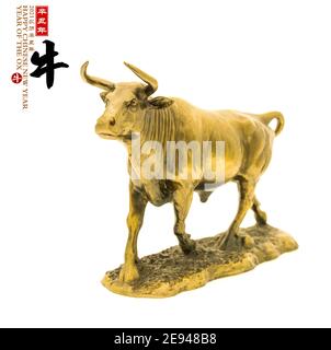 Tradition chinoise Golden statue ox,2021 est année de l'ox, traduction de caractères chinois: 'Ox'.leftside en chinois et sceaux mean:Chinese calendrier Banque D'Images