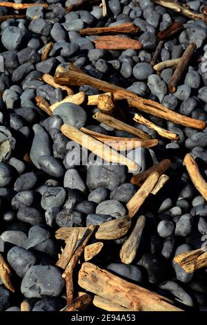 De petits morceaux de bois flotté mélangés à des rochers usés sans à-coups par les vagues constantes et surfer sur une plage près de Newport, Oregon. Banque D'Images