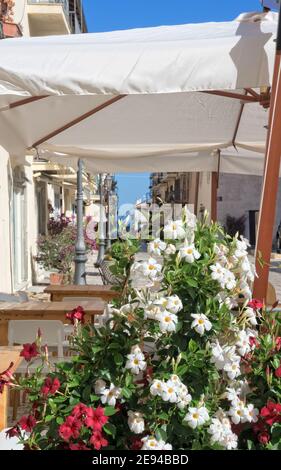 Allée à San Felice Circeo - Latina Italie Banque D'Images