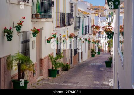 Vue sur l'une des rues étroites typiques du centre historique d'Estepona avec les maisons encaldas et ornées de pots pleins de fleurs colorées. Banque D'Images
