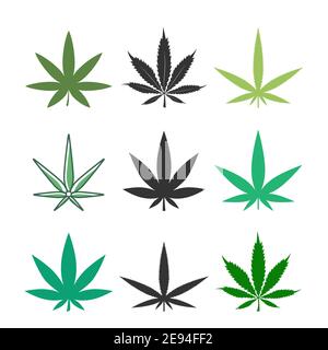 Icône en forme de feuille de cannabis. Collecte de plantes de marijuana. Concept de médecine vectorielle. Illustration médicale isolée sur blanc. Illustration de Vecteur