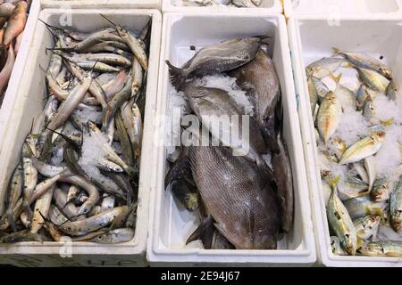 Poisson de Halfbeak, poisson de lapin et maquereau de cheval de l'Atlantique au marché aux poissons de Billingsgate à Londres, Royaume-Uni. Banque D'Images