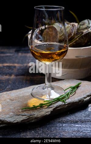 Accompagnement de nourriture et de boissons, huîtres plates européennes fraîches et crues cultivées en Bretagne dans la rivière Belon, en France, gros plan et whisky single malt scotch d'Islay is Banque D'Images