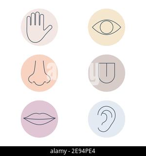 Jeu d'icônes de lignes colorées Human Senses. Personnes faisant partie du corps en forme de cercle. Main, œil, nez, langue, lèvres et oreilles. Illustration médicale vectorielle isolée Illustration de Vecteur