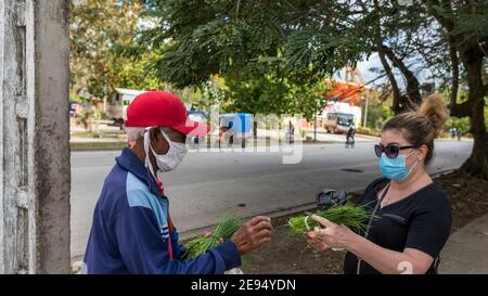 Une touriste cubaine achète des poireaux à un homme âgé de Santa Clara, Cuba Banque D'Images