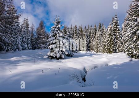 Paysage d'hiver avec arbres et neige à une journée ensoleillée dans les montagnes d'Ore. Banque D'Images